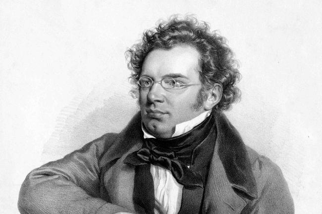 Porträt Franz Schubert
