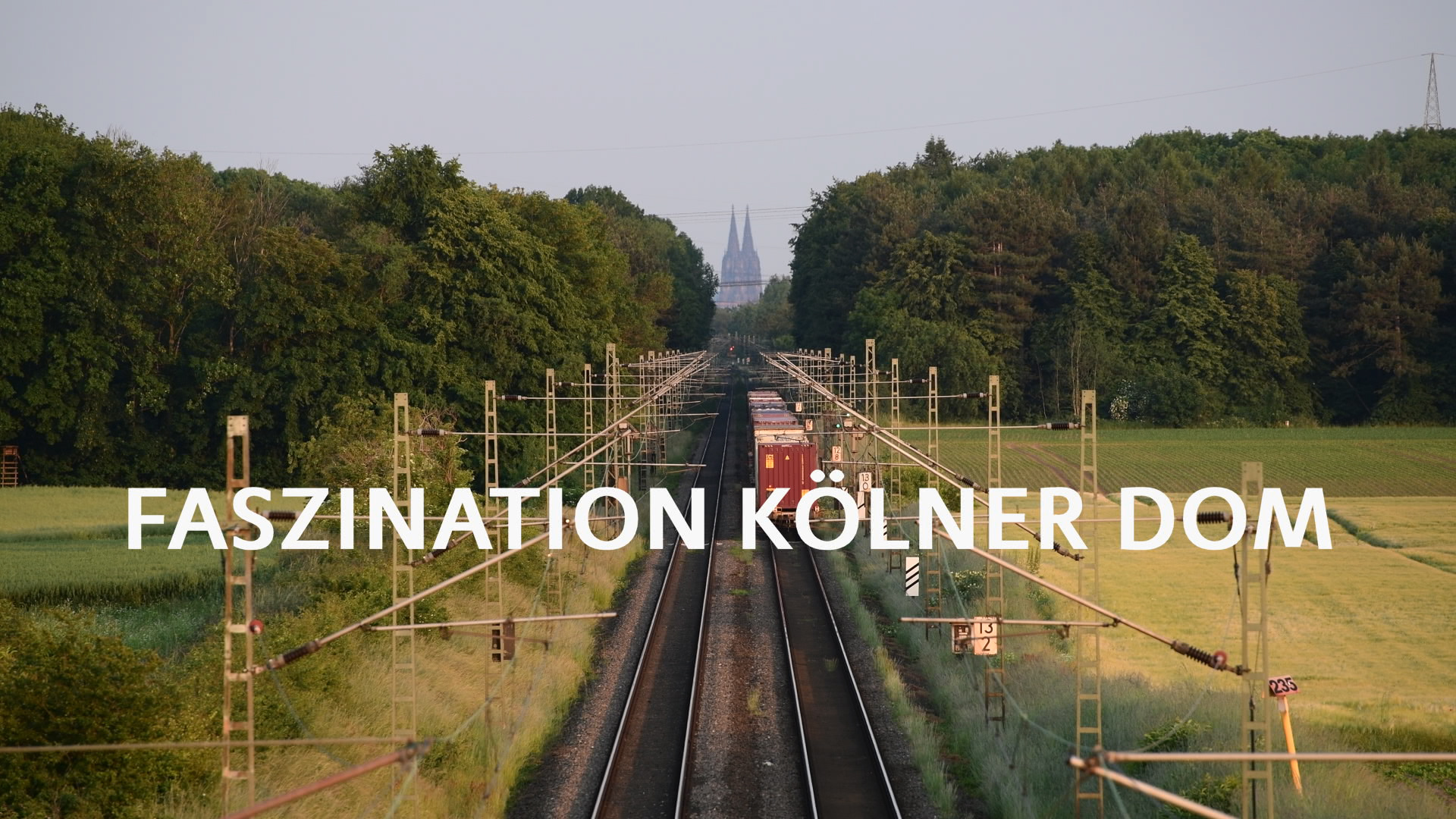 Dom-Film Header 1