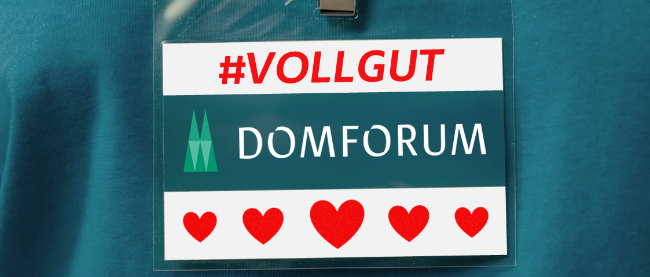 Freiwilliges Soziales Jahr