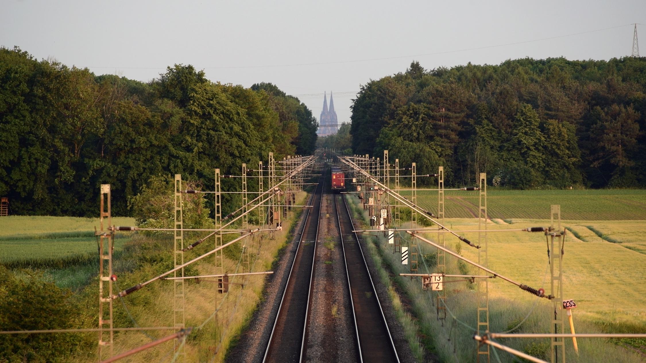 Dom-Film im DOMFORUM