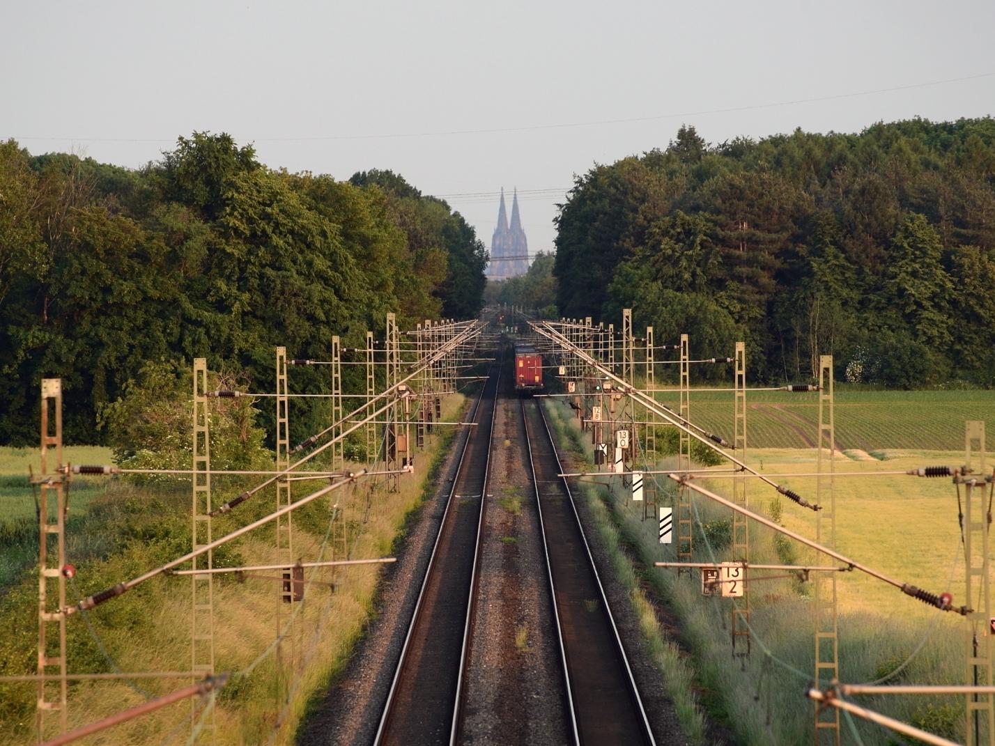Dom-Film im DOMFORUM